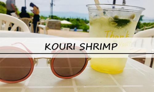 KOURISHRIMP